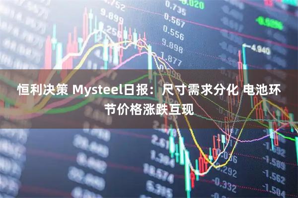 恒利决策 Mysteel日报：尺寸需求分化 电池环节价格涨跌互现