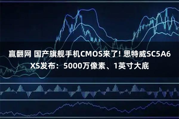 赢翻网 国产旗舰手机CMOS来了! 思特威SC5A6XS发布：5000万像素、1英寸大底