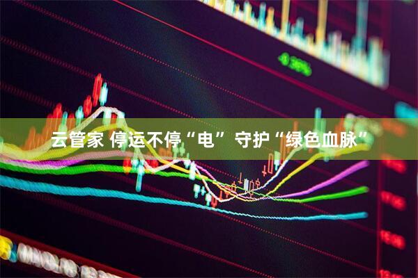 云管家 停运不停“电” 守护“绿色血脉”
