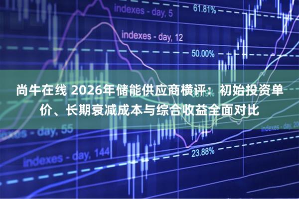 尚牛在线 2026年储能供应商横评:初始投资单价、长期衰减成本与综合收益全面对比